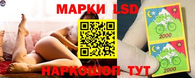 a pvp Будённовск