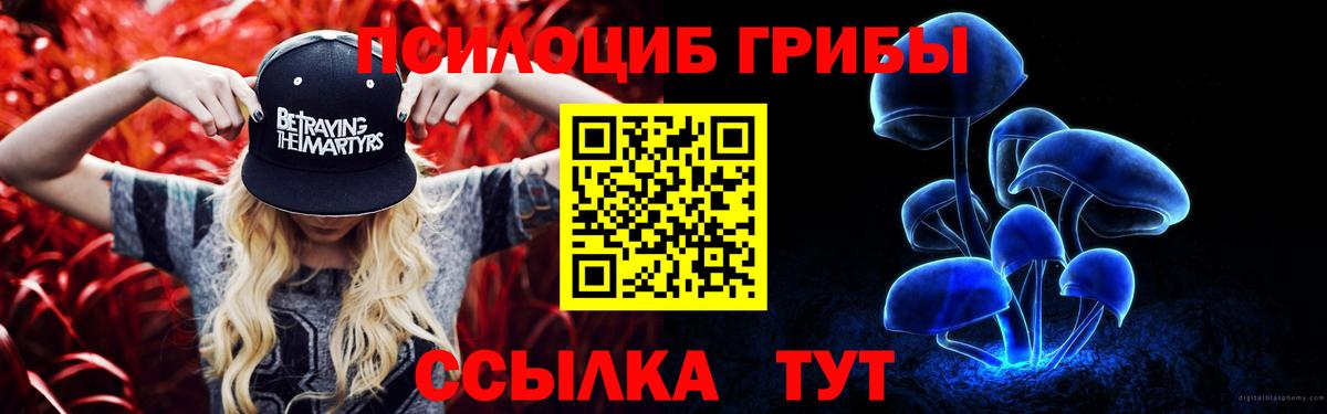Тамбов  Галлюциногенные грибы GOLDEN TEACHER  Вход с VPN 