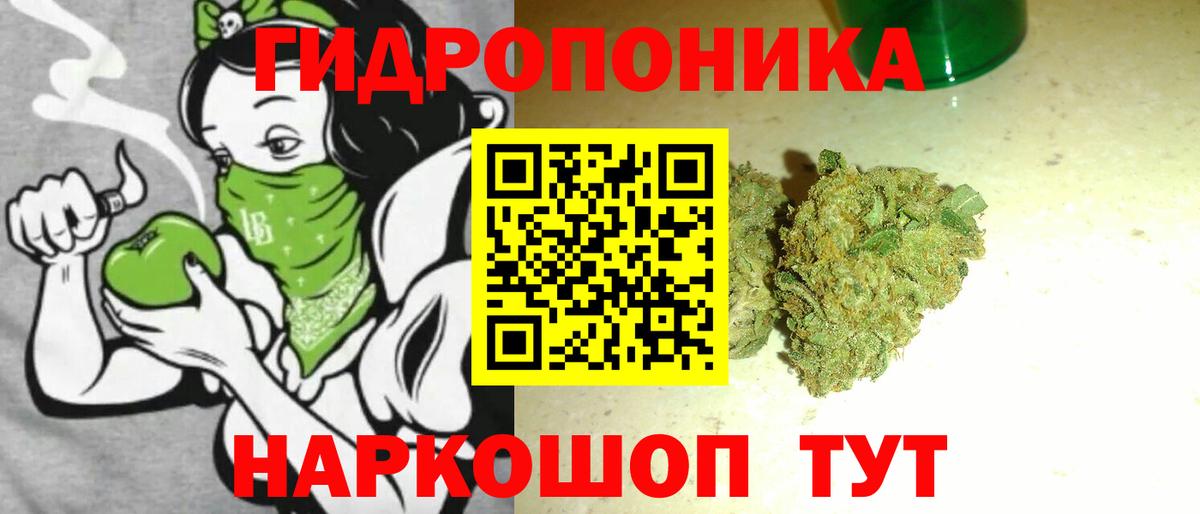 Бошки Шишки VHQ Тамбов